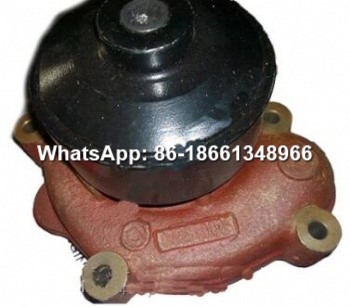 SDEC D20-000-32+B Water Pump.jpg