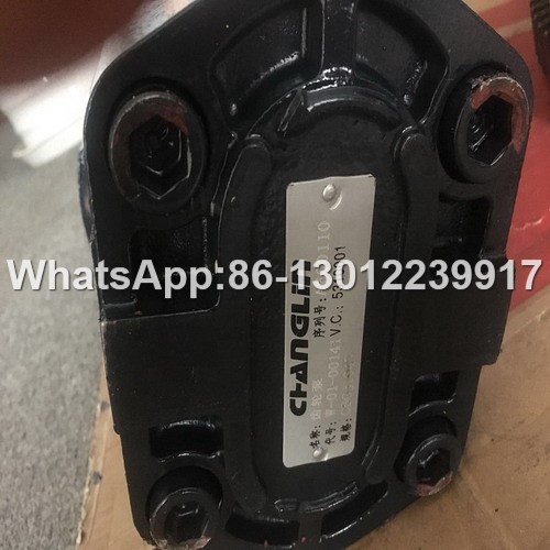 Changlin Parts Gear Pump W-01-00141.jpg