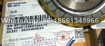 ZF bearing SP100228