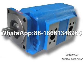 Liugong 11C0043 Permco P7600-F140NM467 6G-R pump